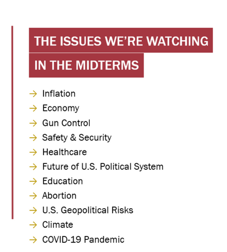 issues in 2022 midterms